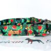 Tukany - obroża zatrzask z zabezpieczeniem 3 cm